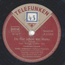 Cornel-Trio - Langschlfer Fox / Du bist schn wie Mama