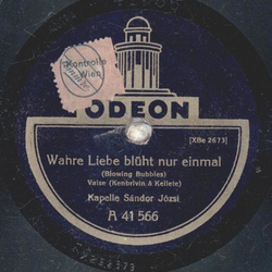 Kapelle Sándor Józsi - Wahre Liebe blüht nur einmal /...