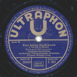 Kammer- Orchester - Eine kleine Nachtmusik 