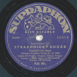 Various Artists - Strakonicky Dudk 