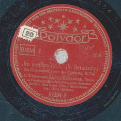 Wstemann & Glawitsch - Im weien Rl, Querschnitt durch die Operette