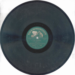 Paul Godwin - Der Ziegeunerbaron 1. Teil / 2. Teil