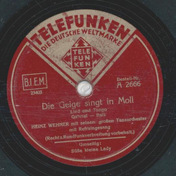 Heinz Wehner - Die Geige singt in Moll / Se kleine Lady