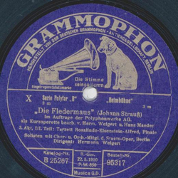 Hermann Weigert - Die Fledermaus ( 4 Platten)