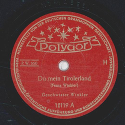 Geschwister Winkler - Du mein Tirolerland / Mei Dearndl