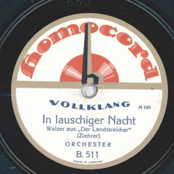 Orchester - In lauschiger Nacht / Rosen aus dem Süden