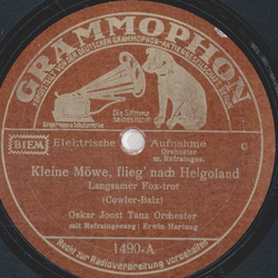 Oskar Joost Tanz Orchester - Kleine Mwe, flieg nach Helgoland / In meiner Laubenkolonie