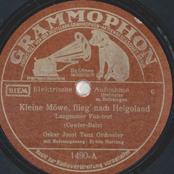 Oskar Joost Tanz Orchester - Kleine Möwe, flieg nach...