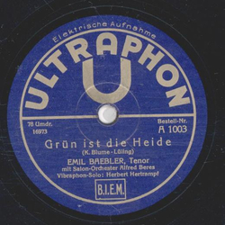 Alcron Jazz, R.A. Dvorskys Melody Boys - Eine Nacht von Saragossa