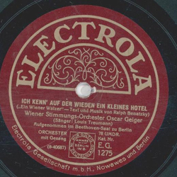 Wiener Stimmungs-Orchester: Oscar Geiger - Ich kenn auf...