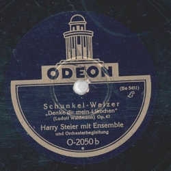 Harry Steier mit Ensemble - Drum, Brder wir trinken noch eins / Schunkel Walzer