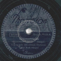 Rudi Hupel - Sommerfreude / Sprhregen