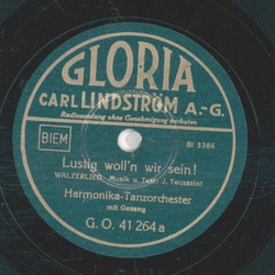 Harmonika Tanzorchester - Lustig wolln wir sein / Duze...