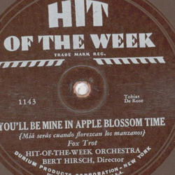 Hit-Of-The-Week Orchestra - Youll Be Mine In Apple Blossom Time