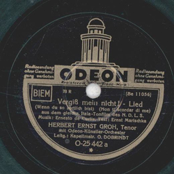 Herbert Ernst Groh - Vergi mein nicht! / Jetzt mte die...