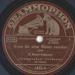 Grammophon Orchester - Wenn die alten Bäume rauschen / Ja...