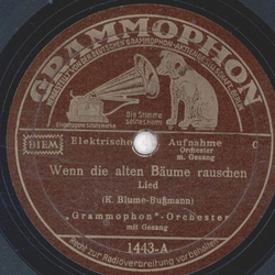 Grammophon Orchester - Wenn die alten Bume rauschen / Ja wenn ein Mdel Hochzeit hat