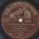 Grammophon Orchester - Wenn die alten Bume rauschen / Ja...