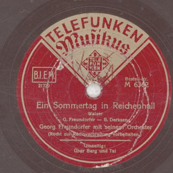 Georg Freundorfer - Ein Sommertag in Reichenhall / ber Berg und Tal 