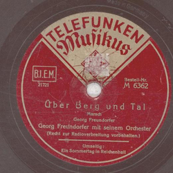 Georg Freundorfer - Ein Sommertag in Reichenhall / ber Berg und Tal 