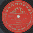 Hans Georg Schtz Tanzorchester - Mir gehts gut / Abends...