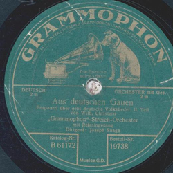 Grammophon-Streich-Orchester - Aus deutschen Gauen