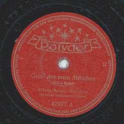 Alfons Bauer - Gr mir mein Mnchen / Bayrische Geschichten