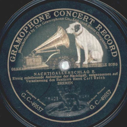 Nachtigallenschlag II und VIII