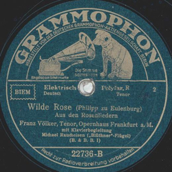 Franz Vlker - Monatsrose / Wilde Rose