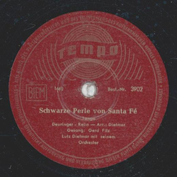 Gerd Fitz - Schwarze Perle von Santa F / Unter Palmen am...