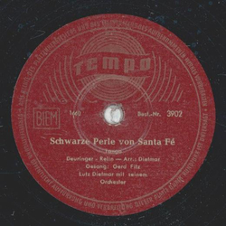 Gerd Fitz - Schwarze Perle von Santa F / Unter Palmen am blauen Meer