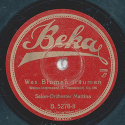 Salon-Orchester Martina - Ballgeflster / Was Blumen trumen