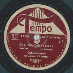 Walter Raatzke / Ferdy Kauffmann - Die Schnbrunner / Die...