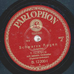 T. Iliescu - Schwarze Augen / Chrysanthéme
