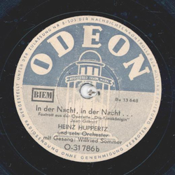 Wilfried Sommer, Heinz Huppertz und sein Orchester - Liebliche kleine Dingerchen / In der Nacht, in der Nacht...