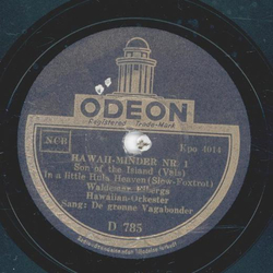 Hawaiian-Orchester - Hawaiian-Minder Nr. 1 /...