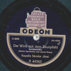 Kapelle Sandor Jzsi - Der Wink mit dem Zaunpfahl / An...