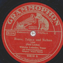 Wilhelm Leiseifer - Rosen, Tulpen Nelken / Nur im Traum darf ich glcklich sein