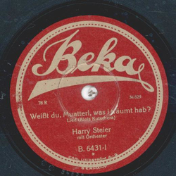 Harry Steier - Weißt du, Muatterl, was i träumt hab / Am...