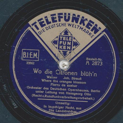 Hansgeorg Otto - Wo die Citronen blühn / In lauschiger...