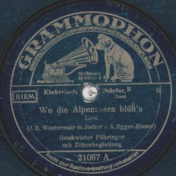 Geschwister Pühringer - Wo die Alpenrosen blühn / Der Bua...