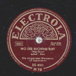 Die singenden Wanderer - Leise klingt das Halali / Wo der Buchfink ruft