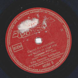 Willy Schneider - Du kleines Schwalbenpaar / Kannst du vergessen, wie schn es einst war