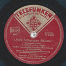 Großes Tanzorchester: Adalbert Lutter - Unter blühenden...