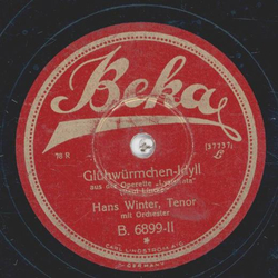 Hans Winter - Ballgeflster / Glhwrmchen-Idyll