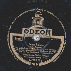 Walter Schacht - Bunte Palette: Polka Potpourri / Bunte...