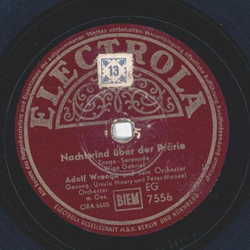 Adolf Wreege - Nachtwind ber der Prrie / Junger brauner...