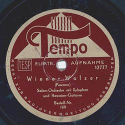 Salon-Orchester - Mitternachtswalzer / Wiener Walzer