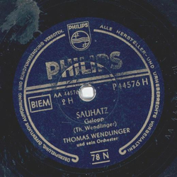 Thomas Wendlinger - DSchwanthaler Hoha / Sauhatz