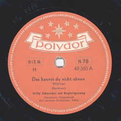 Willy Schneider - Das kannst du nicht ahnen / Kornblumenblau
